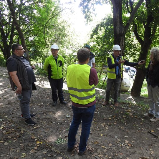 Per visą nuotraukos plotį Kalnų parko takas, dar retokai nusėtas medžių lapais. Dešinėje tako storakamieniai medžiai, pro juos matyti saulės ryškiai nušviestas parkas. Priešakiniam nuotraukos plane ant tako, beveik ratu vienas nuo kito atokiau, sustoję bū