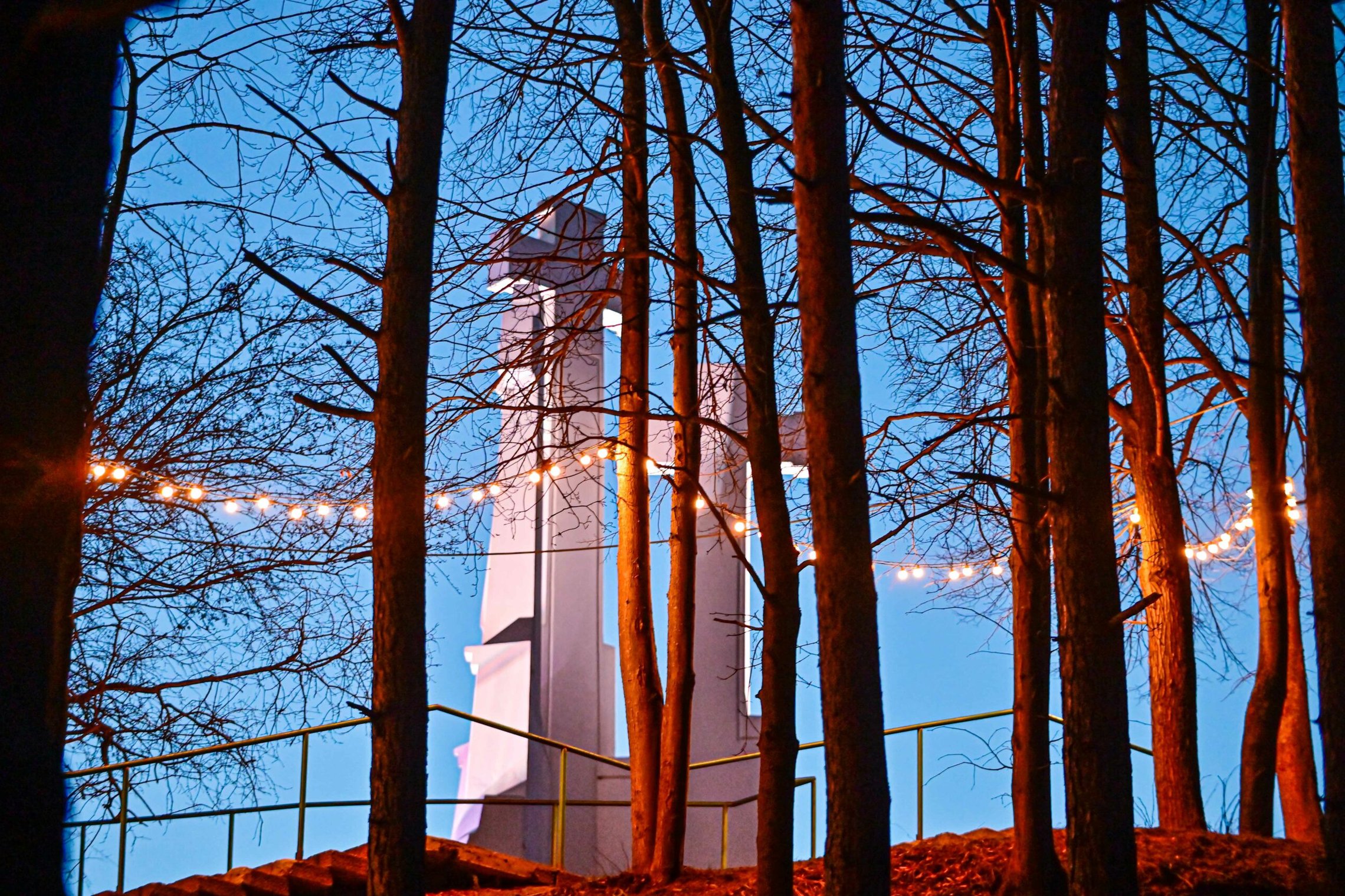Vakaro fone apšviesas Trijų Kryžių paminklas. Ant medžių šakų kabo kalėdinės girliandų lamputės. Jos taip pat šviečia. Nuotraukos priekyje medžių kamienai.