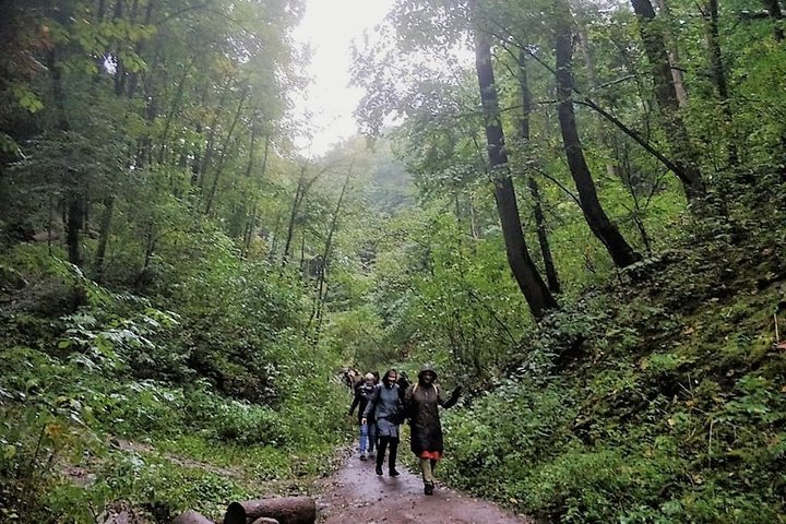 Žmonių grupė eina Didžiosios griovos taku. Ką tik pasibaigė lietus, o gal dar ir lyja. Visur labai žalia, nors jau rugsėjo vidurys. Kairėje nuotraukos riogsto medžių rąstų krūva.