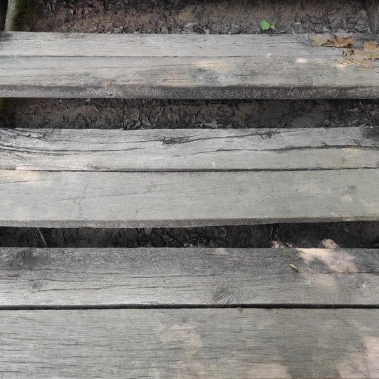 Sutvarkyti Bekešo laiptai, kurie veda iš Bernardinų sodo Trijų Kryžių paminklo link.