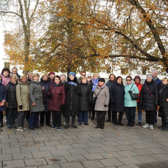 Ekskursijos dalyviai stovi Pilių parke. Už jų nugarų matosi Valdovų rūmai.