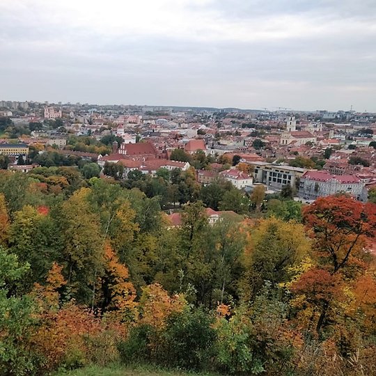 Nors nėra daug saulės ir danguje plaukia debesys, bet matosi, kad yra šilta rudens diena. Vaizdas nuo Trijų kryžių kalno. Matosi Vilniaus senamiestis, daug namų ir bažnyčių. Nuotraukos pirmame plane - daug medžių. Medžių lapai jau pradėję gelsti ir raudon