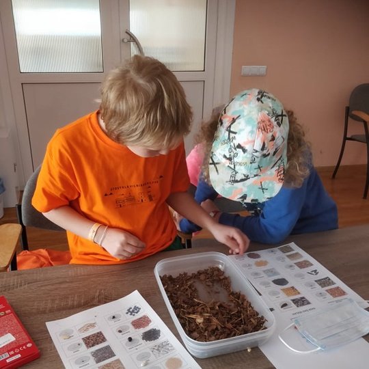 Du vaikai labai susikaupę dėlioja iš dėžutės įvairias augalų sėklas. Prieš juos yra lentelė su augalų sėklų nuotraukomis ir jie turi rasti lygiai tokias pačias sėklas, kaip pavaizduota lentelėje.