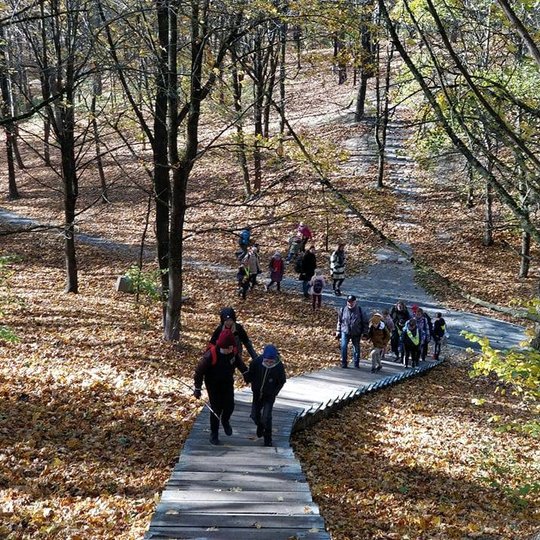 Kalnų parko kalvos. Čia gausu tai storesnių tai lieknesnių medžių. Medžiai pametę lapus ir geltona jų paklotė visur dengia kalvų šlaitus, o ruožai apšviesti saulės spindi auksine spalva. Tolimesniame nuotraukos fone kalvos šlaitas leidžiasi žemyn, ties nu