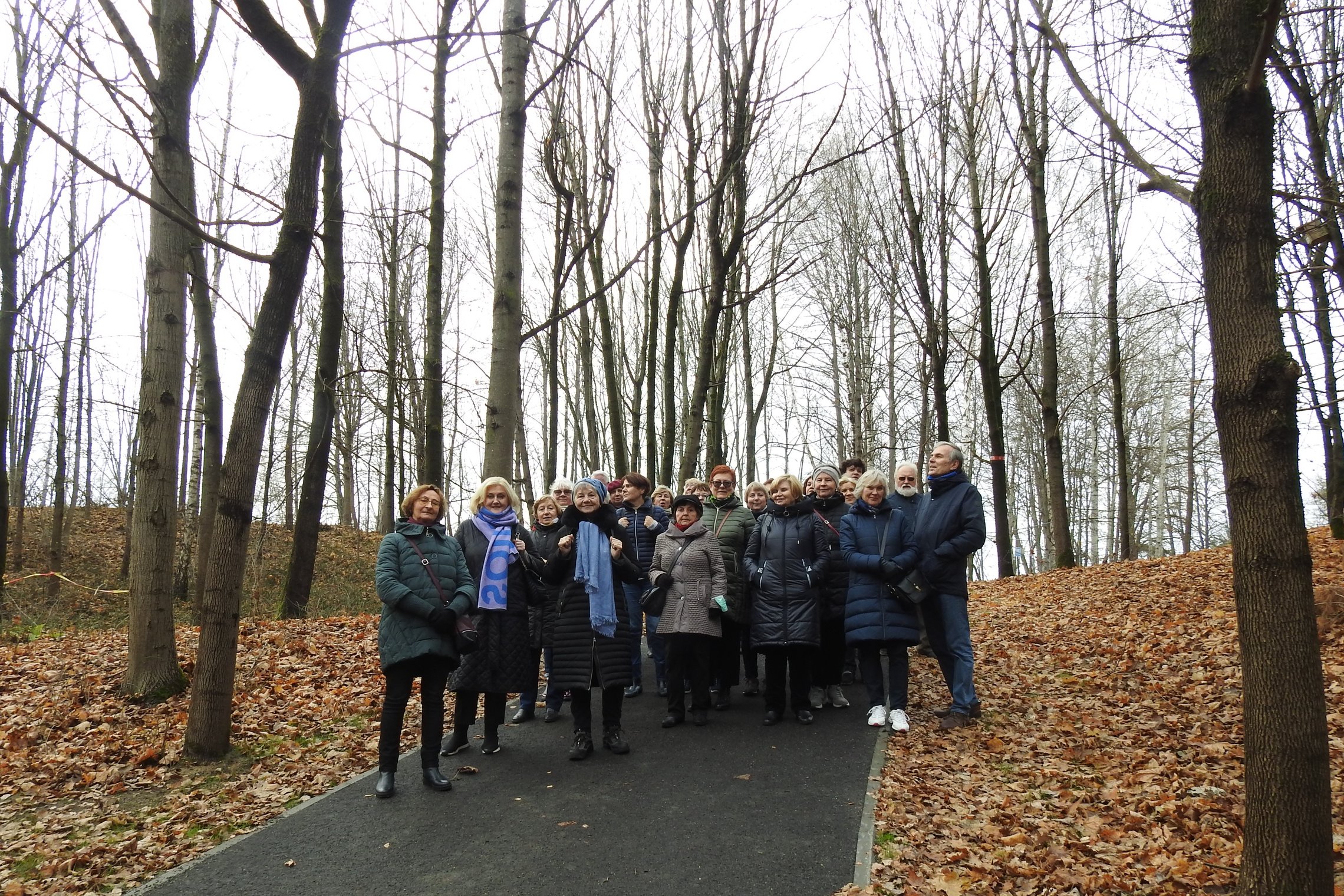 Didelė ekskursijos grupė stovi dabartiniame Kalnų parke ant naujai išasfaltuoto tako. Visi medžių lapai yra nukritę ant žemės, tad tai vėlyvas ruduo, tačiau nėra šalta.