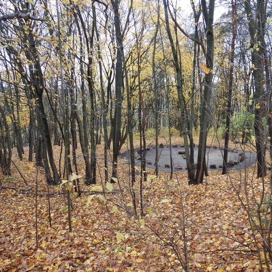 Medžių tankmėje, matosi padarytas apskritimas su kraštuose išdėliotais akmenimis. Tai senovės lietuvių tikėjimo atstovų maldų ir ritualų vieta. Ruduo jau vėlyvas, nes lapai beveik visi nuo medžių nukritę.
