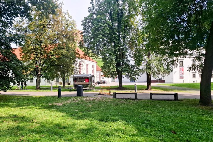 Prie Lietuvos nacionalinio muziejaus Naujojo arsenalo ir Valdovų rūmų vakarinio korpuso buvęs pavojingas medis pašalintas. Pėsčiųjų take prie prekybos maistu vagonėlio likęs kelmas aptvertas laikinu atitvaru.