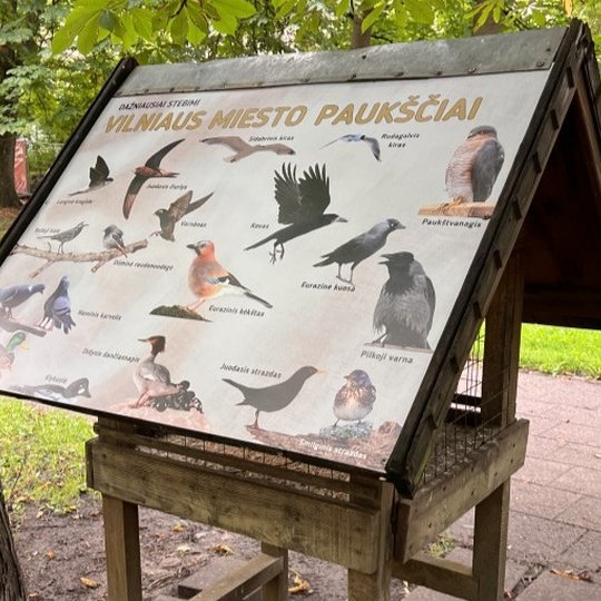 Informacinis stendas parke su iliustracijomis ir pavadinimais „Vilniaus miesto paukščiai“.