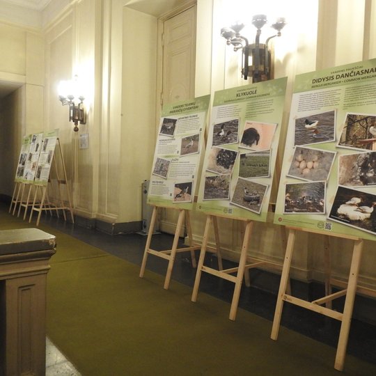 Sustatyti molbertai bibliotekos patalpose. Molbertuose stendai - paukščių nuotraukų paroda.