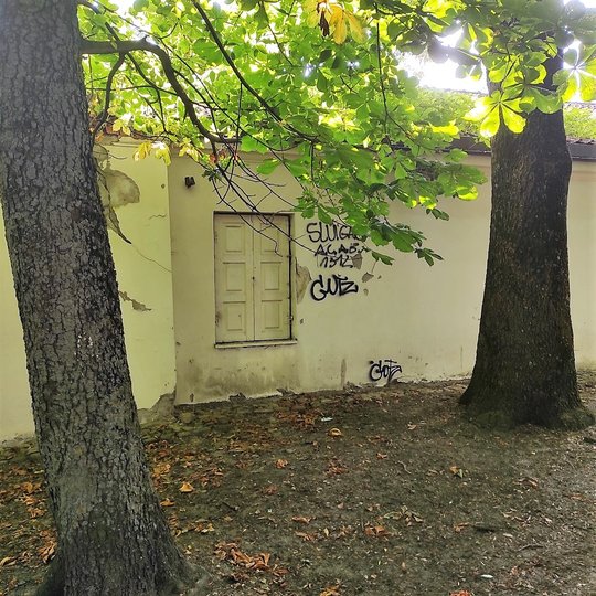 Vėl teplioriai išmargino Kirdėjų rūmų sieną savo „urviniu menu“. Šį kartą vyrauja nesuprantami kringeliai ir šuns kaip totemo motyvas. Kadangi šis akmens amžiaus nedera prie viduramžiško Vilniaus.