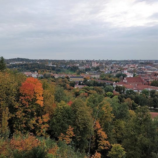 Nors nėra daug saulės ir danguje plaukia debesys, bet matosi, kad yra šilta rudens diena. Vaizdas nuo Trijų kryžių kalno. Matosi Vilniaus senamiestis, daug namų ir bažnyčių. Nuotraukos pirmame plane - daug medžių. Medžių lapai jau pradėję gelsti ir raudon