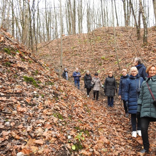 Didelė ekskursijos grupė leidžiasi Mažąja griova. Visi medžių lapai yra nukritę ant žemės, tad tai vėlyvas ruduo, tačiau nėra šalta.