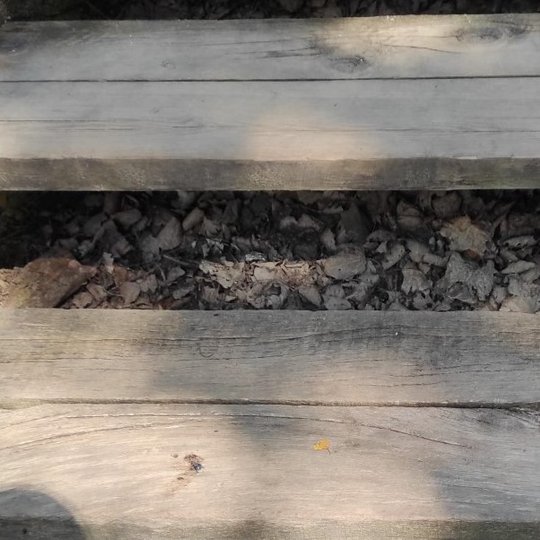 Sutvarkyti Bekešo laiptai, kurie veda iš Bernardinų sodo Trijų Kryžių paminklo link.