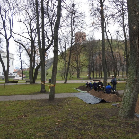Rudens pilka diena. Pirmąjame plane parko medžiai, pajuodusiais kamienais, išsirykiavę eilėmis, o tarp jų nutysę ilgi plytelėmis kloti pasivaikščiojimo takai – drėgni, bet švarūs. Parko žolė dar žalia. Toliau, nuotraukos dešinėje, pro parko medžius stūkso