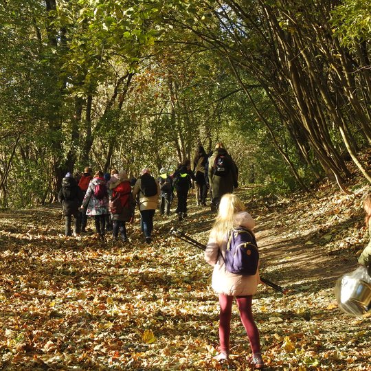 Grupė vaikų kyla į kalną. Aplinkui nuostabi rudens diena ir gražūs rudeniniai medžiai.