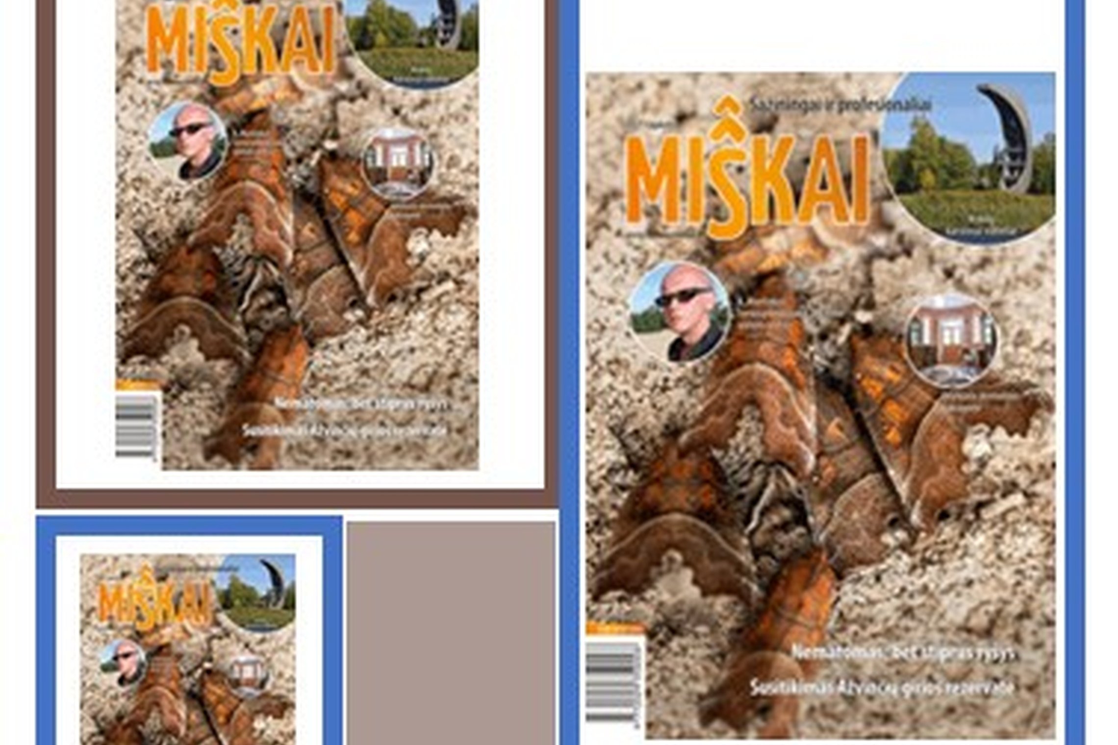Žurnalo „Miškai“ lapkričio mėnesio viršelis.