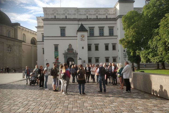 Labai didelė ekskusijos dalyvių grupė stovi ratu netoli Gedimino paminklo. Už jų nugaros Valdovų rūmų fasadas. Saulėta popietė, šilta. Žmonės apsirengę vasariniais rūbais. Dešinėje nuo grupės yra senas Pilių parkas.