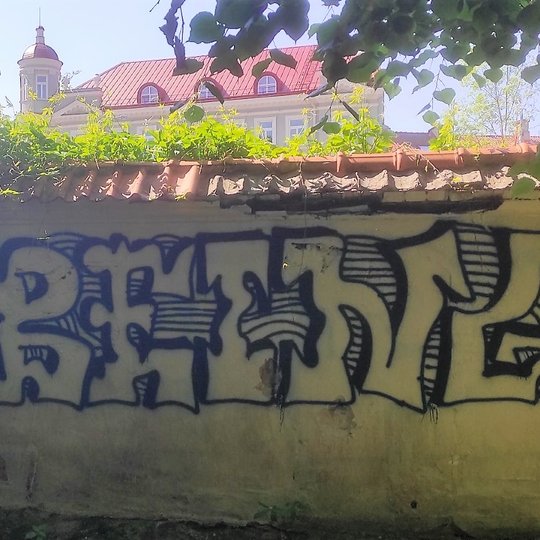 Ant Kirdėjų rūmų ansamblio tvoros „puikuojasi“ graffiti piešiniai ir užrašai. Vasaros metas, aplinkui žaliuoja medžiai.