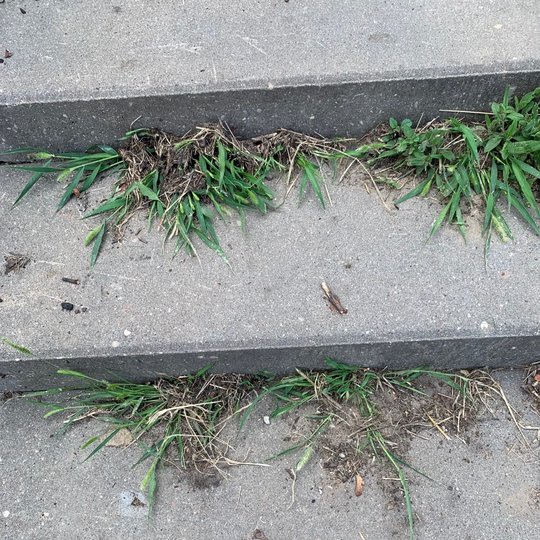 Tarp dviejų pastatų, pažymėtų numeriais 22 ir 24, yra betoniniai laiptai, vedantys Gedimino kapo piliakalnio, Altanos kalno ir Didžiosios Griovos link. Patys laiptai jau yra už Vilniaus pilių rezervato ribų ir priklauso Vilniaus miestui. Paraginti direkci