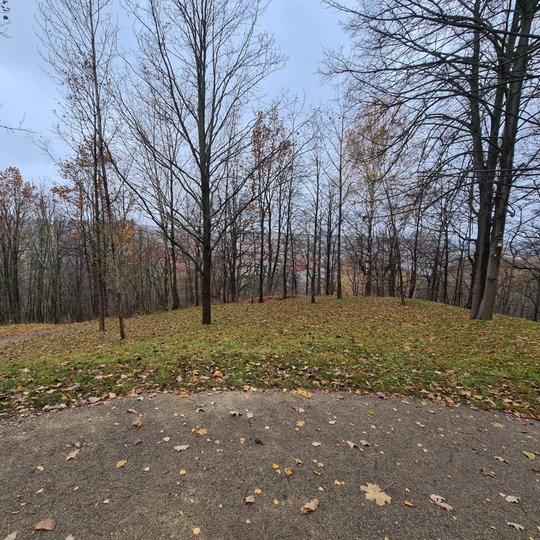  Miesto vaizdas nuo Altanos kalno. Rudens metas.