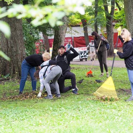 Savanorystės dalyviai parke grėbia ir renka lapus tarp medžių.