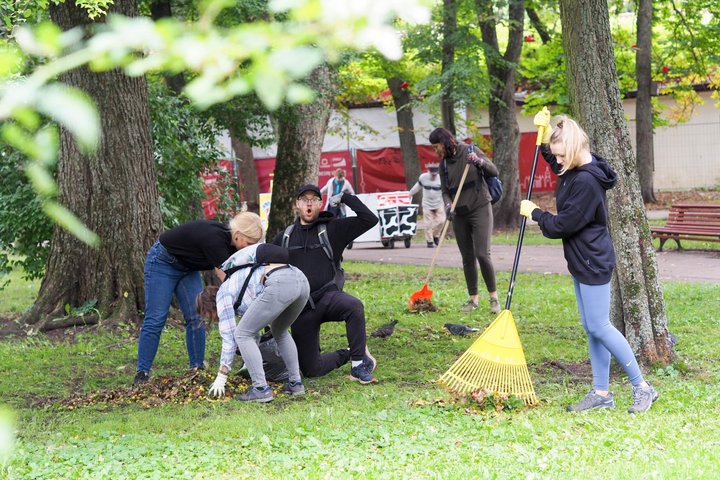 Savanorystės dalyviai parke grėbia ir renka lapus tarp medžių.