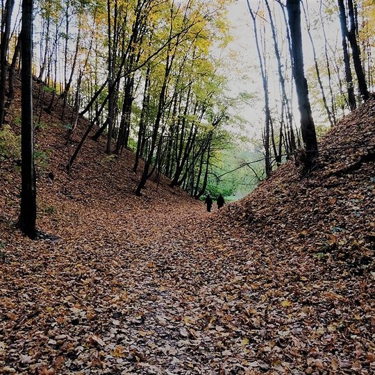 Plati griova tarp dviejų kalnų. Kalnų šlaituose auga medžiai. Griovos takas apsnigtas medžių nukritusiais rudais lapais. Šita ir sausa diena. Tolumoje eina keli žmonės.