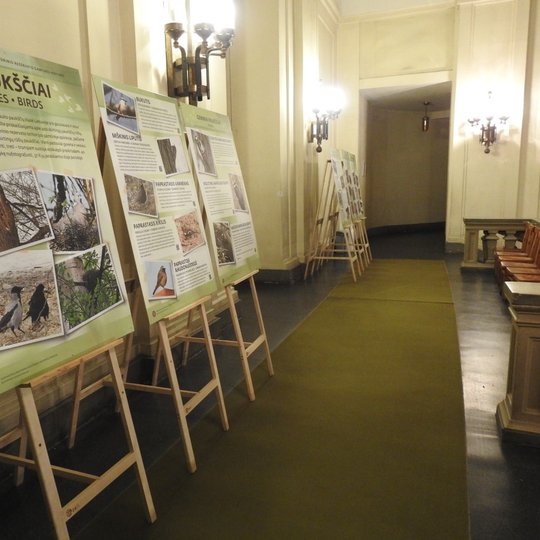 Sustatyti molbertai bibliotekos patalpose. Molbertuose stendai - paukščių nuotraukų paroda.