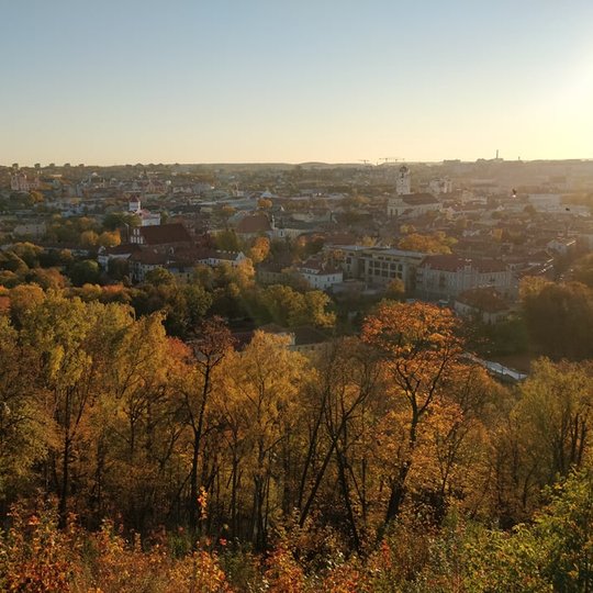 Nuostabi ir šilta rudens diena ir nuotraukoje daug vaiskaus dangaus. Nei vieno debesėlio. Vaizdas nuo Trijų kryžių kalno. Daug geltonų rudeninių medžių. Visas Vilniaus miestas kaip ant delno.