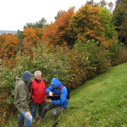 Trys žmonės stovi kalno šlaite ir kalbasi. Vienas žmogus su nešiojamu kompiuteriu. Vyksta erozijos židinių fiksavimas Trijų Kryžių kalne. Yra rudens metas. Žmonės dėvi striukes. Krūmai už jų dar su lapais.