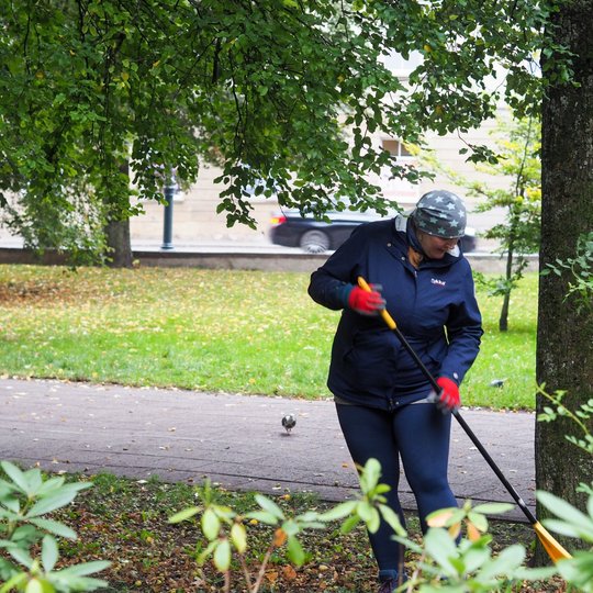 Savanorė grėbia rudeninius lapus Sereikiškių parke