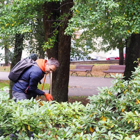 Savanoris grėbia lapus bei mažus obuoliukus Sereikiškių parke ties Barboros Radvilaitės gatve