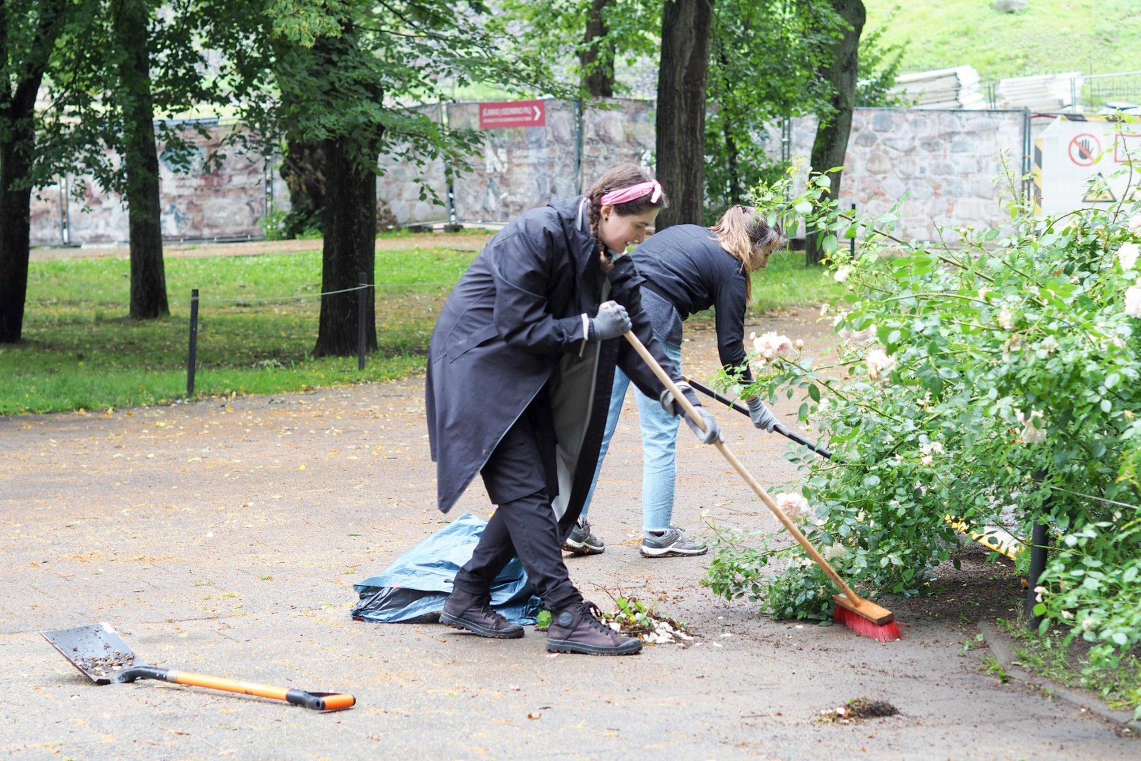 Dvi savanorės parke šluoja taką prie krūmų – viena su šluota stumia žemes ir lapus į krūvą, kita renka šiukšles. Ant žemės matyti kastuvas ir maišas surinktoms atliekoms, aplink auga medžiai ir žaluma.