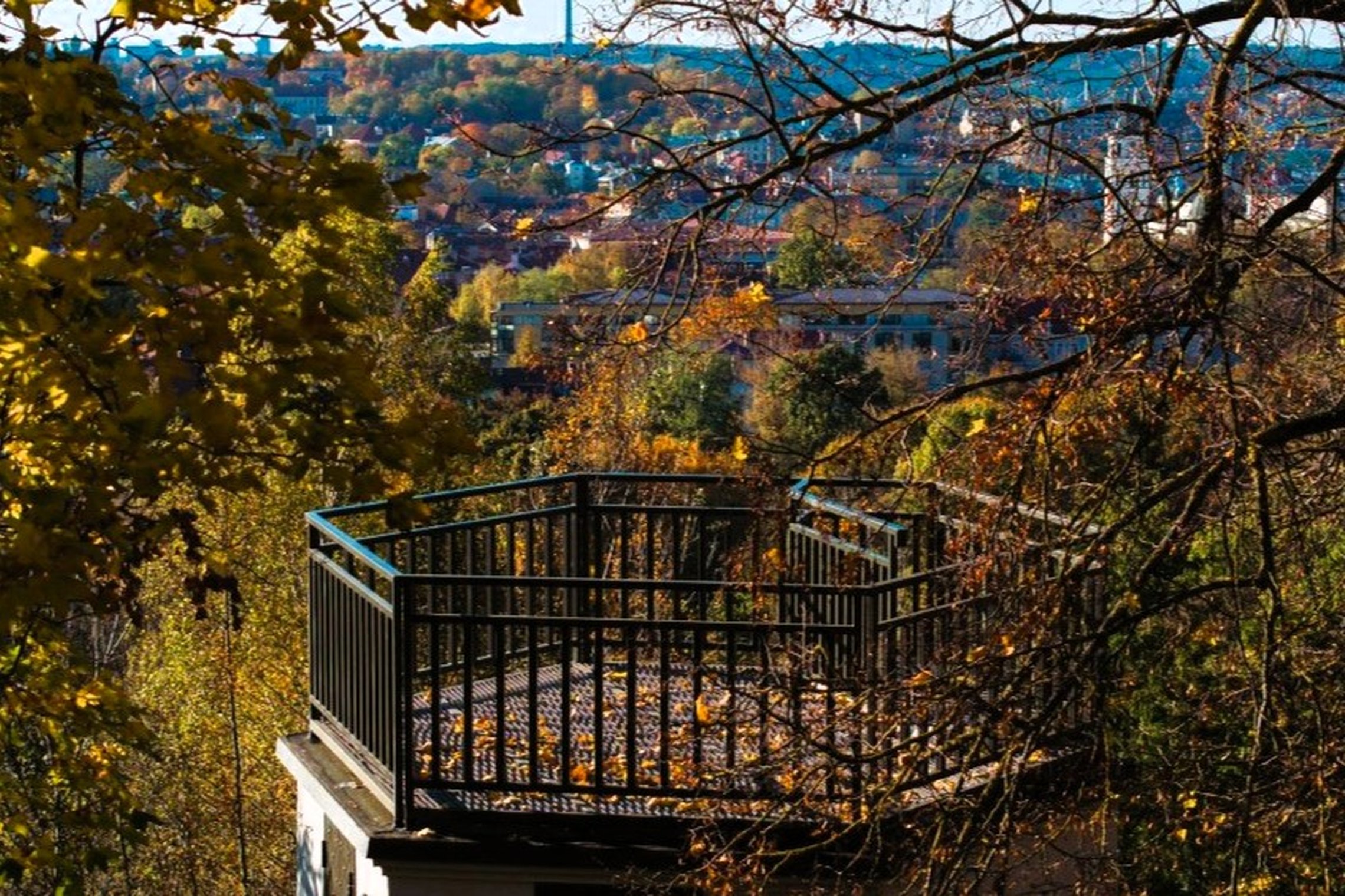 Rudenį nuo apžvalgos aikštelės matyti medžių šakos, spalvinga lapija ir Vilnius tolumoje.