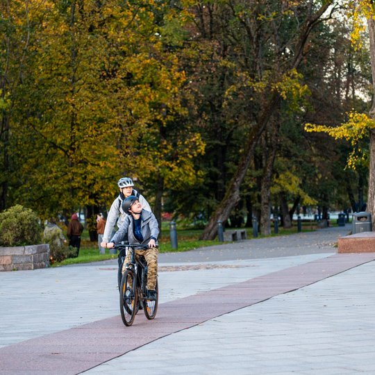 Iliustracija