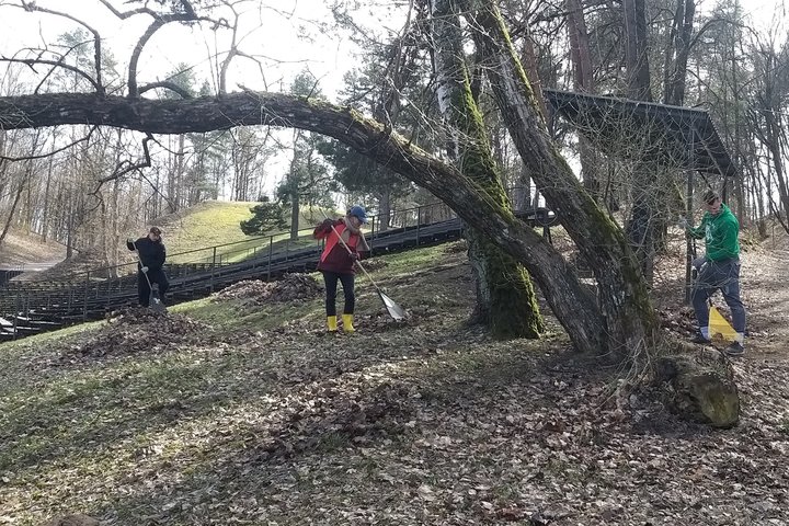 Trys savanoriai Vilniaus pilių rezervato teritorijoje grėbia lapus šlaite prie medžių, šalia matyti medinis takas ir laiptai.