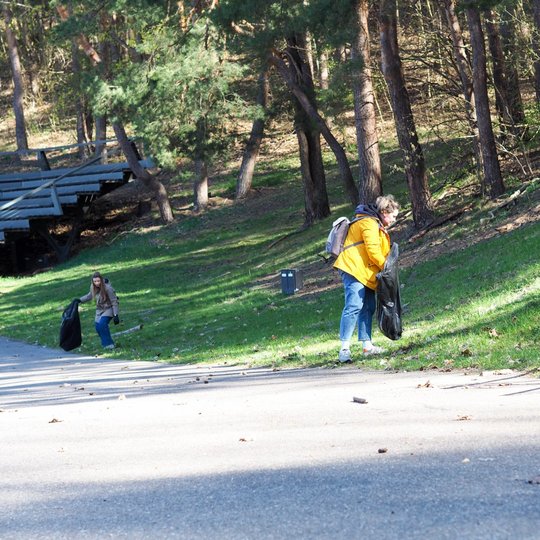 Dainų slėnyje savanorės renka lankytojų paliktas šiukšles ir jas krauna į vienkartinius maišus.