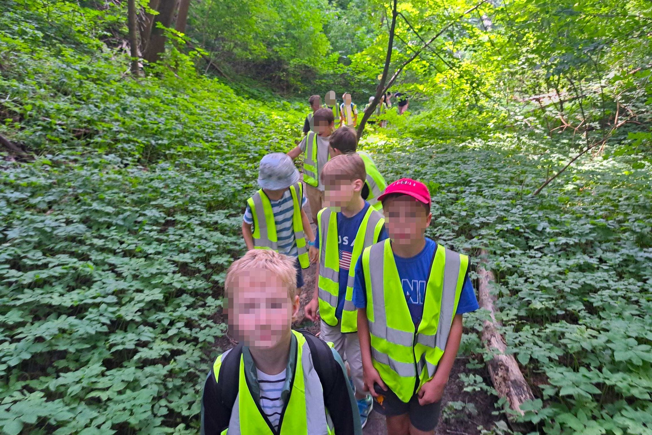 Grupė vaikų su ryškiaspalvėmis šviesą atspindinčiomis liemenėmis eina siauru miško taku Vilniaus pilių teritorijoje. Edukacinio žygio metu stovyklautojai tyrinėja gamtinę aplinką ir susipažįsta su šios vietovės istorija.